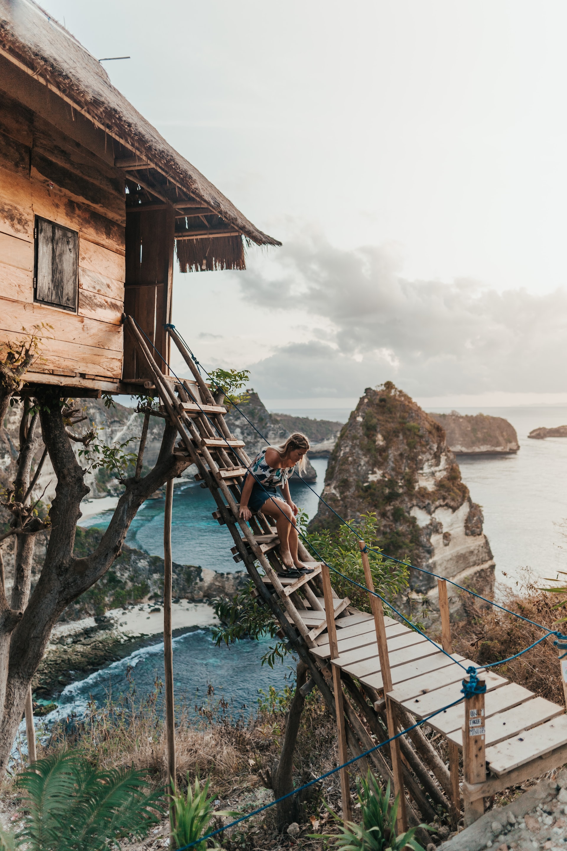 Tree House