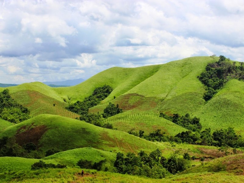 Teletubbies Hill
